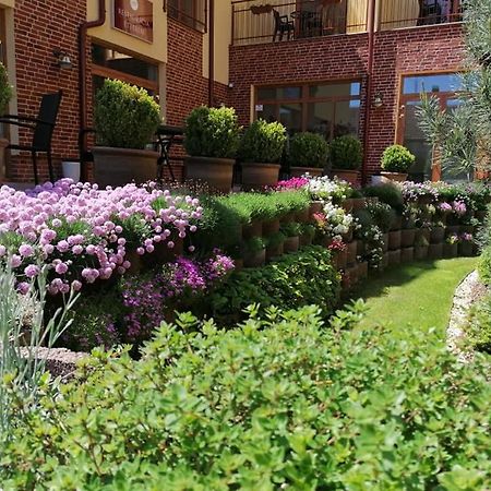 Jolan Pension & Restaurant Cicov エクステリア 写真
