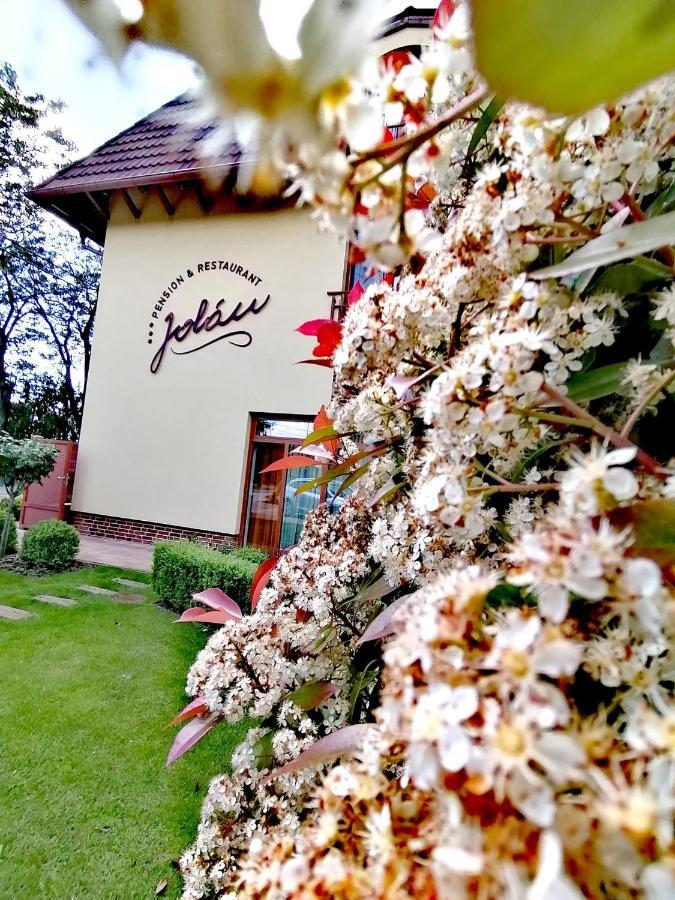 Jolan Pension & Restaurant Cicov エクステリア 写真