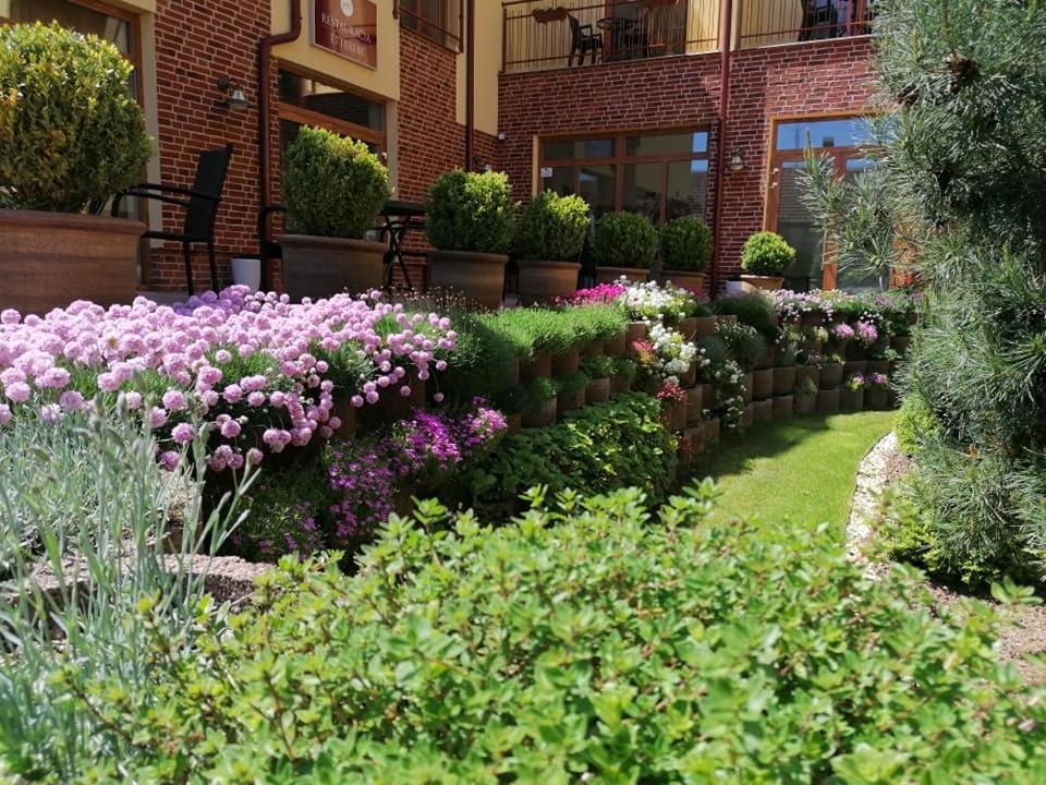 Jolan Pension & Restaurant Cicov エクステリア 写真