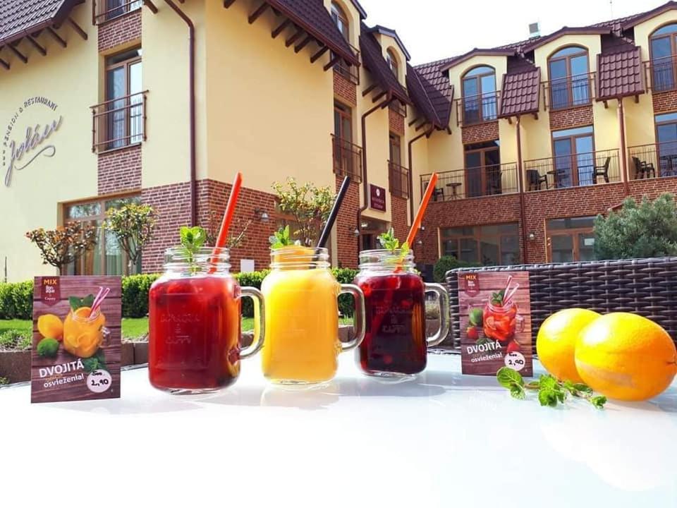 Jolan Pension & Restaurant Cicov エクステリア 写真